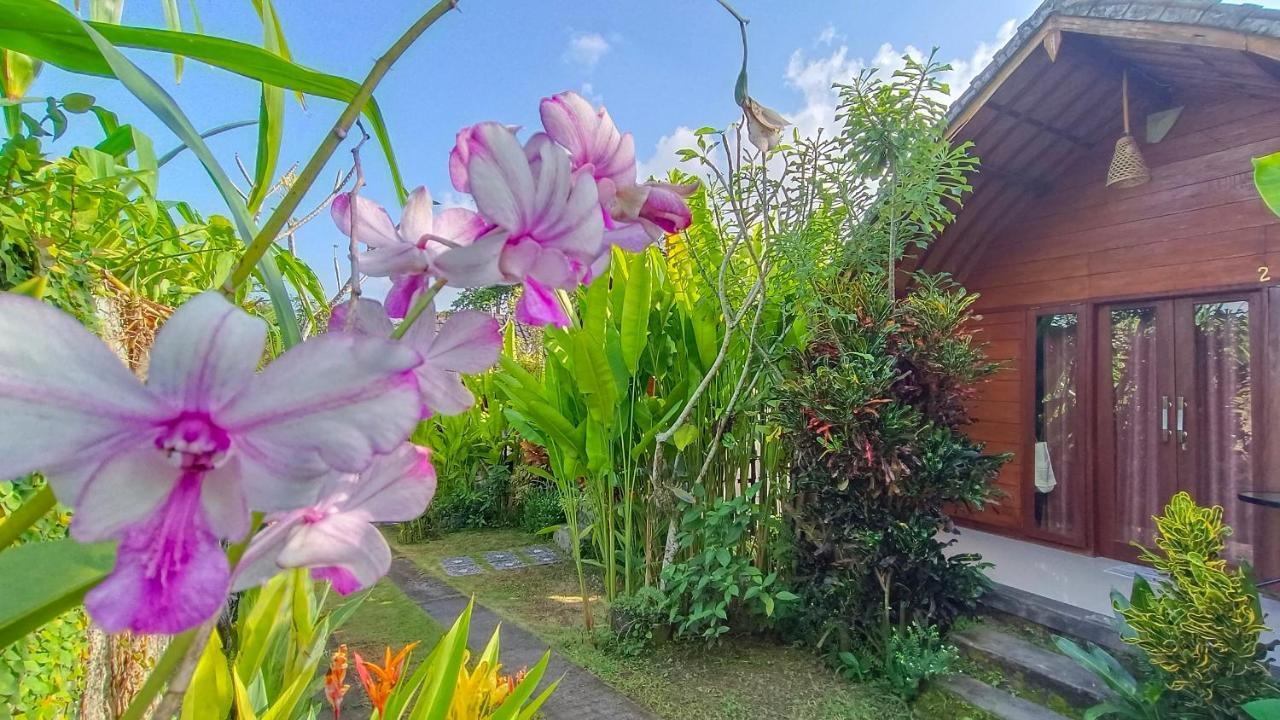 Morning Bali Bungalow Canggu  Exterior photo