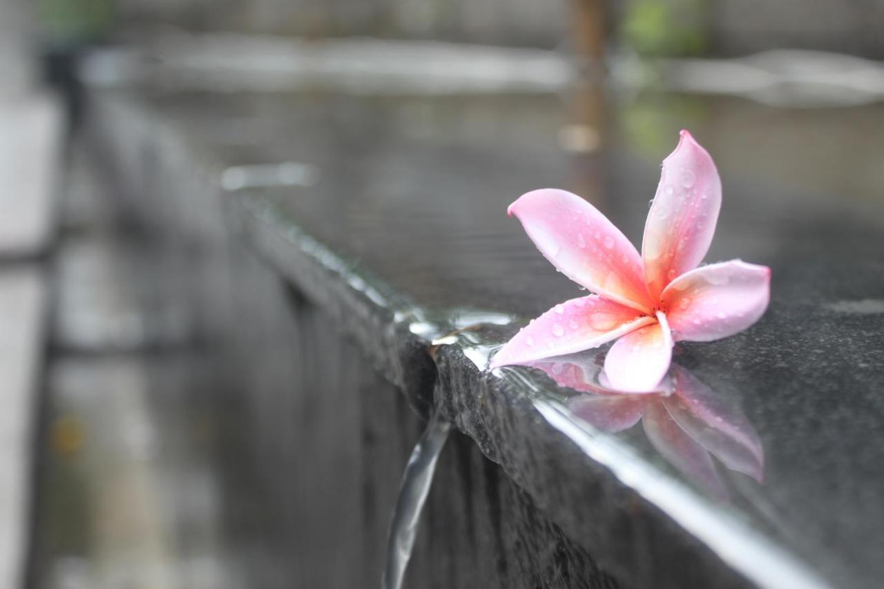 Morning Bali Bungalow Canggu  Exterior photo